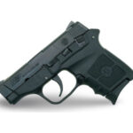 M&P 22 CAMPACT SERIES