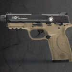 M&P 22 COMPACT SERIES